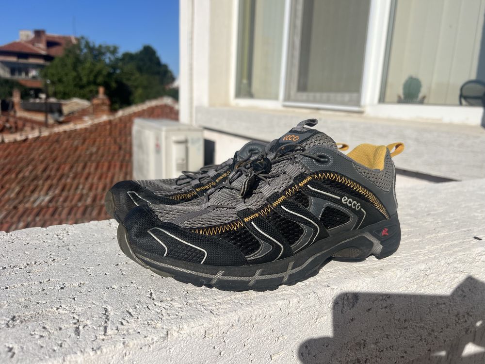 Ecco Receptor 43