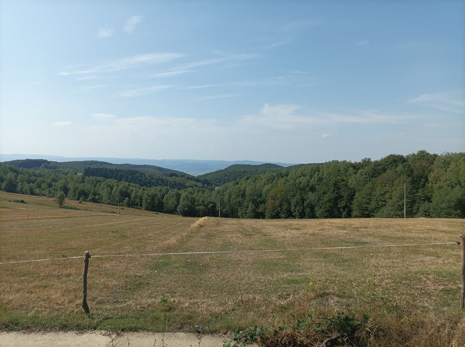 Vând 7500 mp teren in Șinteu