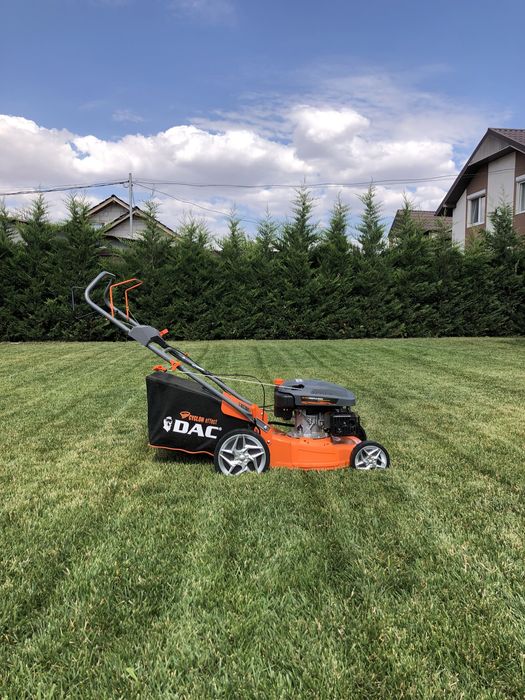 Întreținere grădină