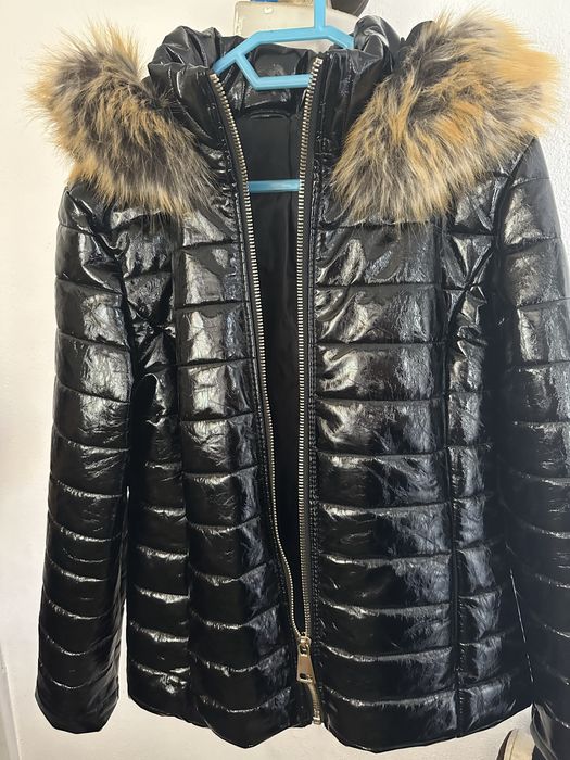 Vand geaca lucioasa de damavand