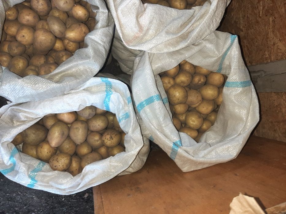 Картофель домашний.
