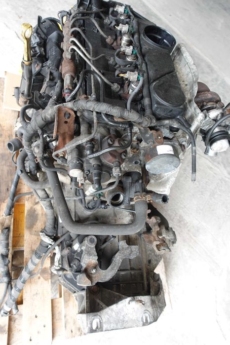 CutieViteze PtrMotor2,2HDI Transit4Puma*P8FA,P8FB,QVFA,4HN,4HV*2009Eu4