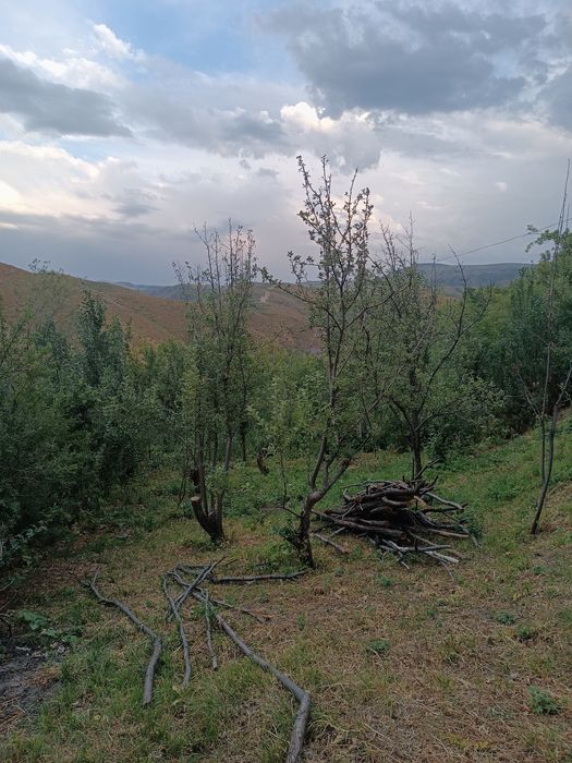 Продам участок с домиком