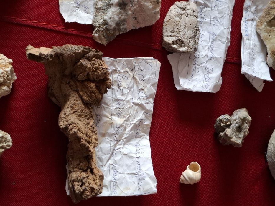 Vând roci de mare valoare geologică