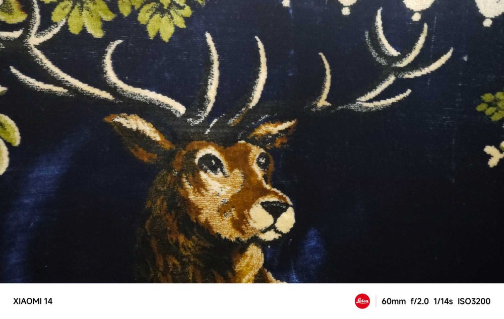 Vând urgent carpetă cerb, originală, model unic, stare foarte buna.