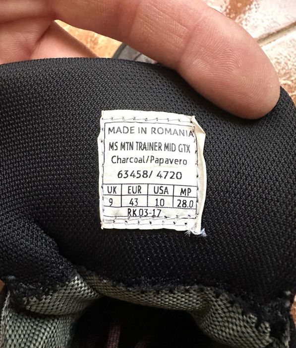 Salewa MS MTN Trainer MID GTX 43