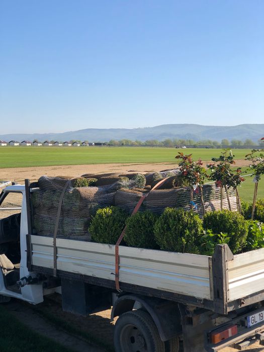 ***Transport pământ negru-galben***