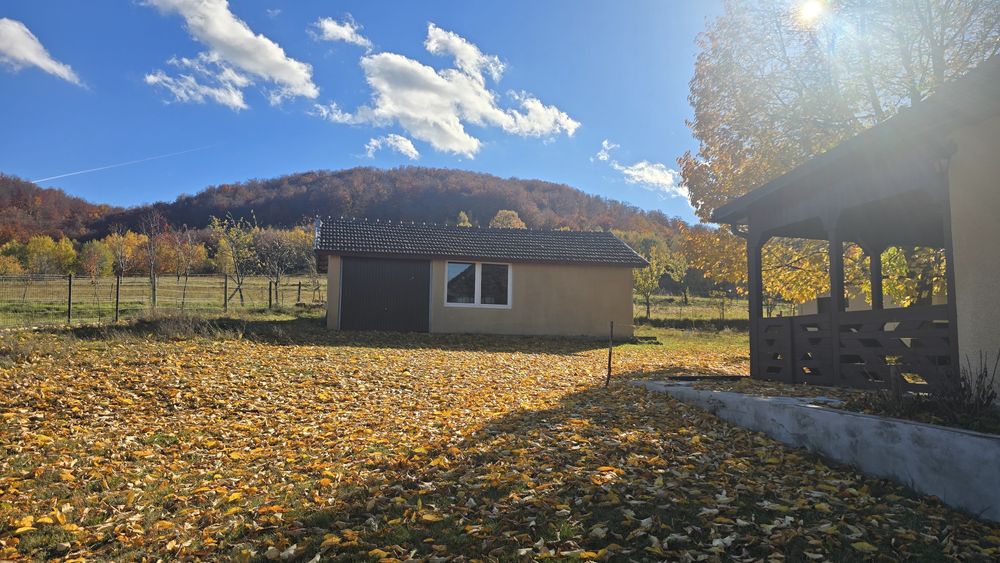 Vand casa si teren la Damiș