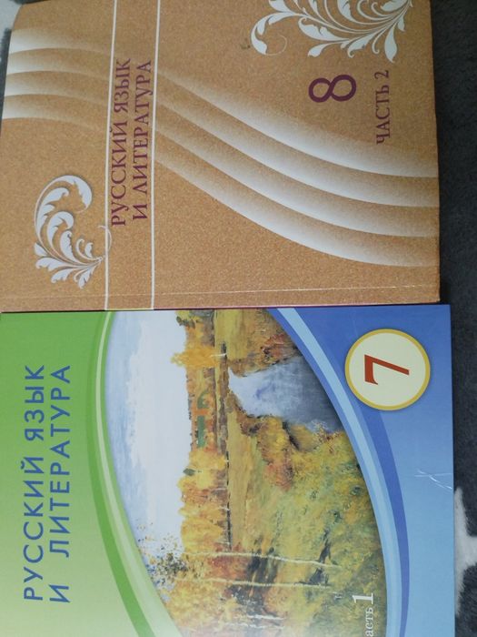 Русский язык 7,8 класс