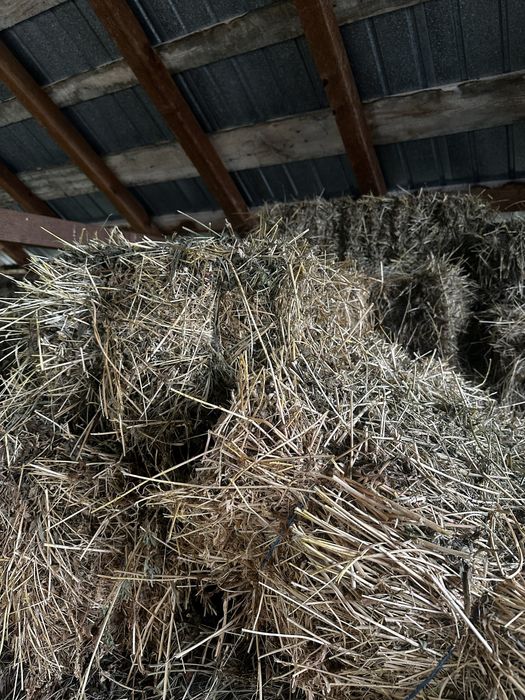 Baloti de fan si otava