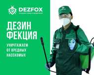 Дезинфексия Избавиться Обработка От Тараканов Крыс Мышей В Доме Кафе