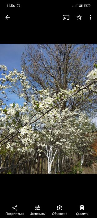 Продам дачу пригородный