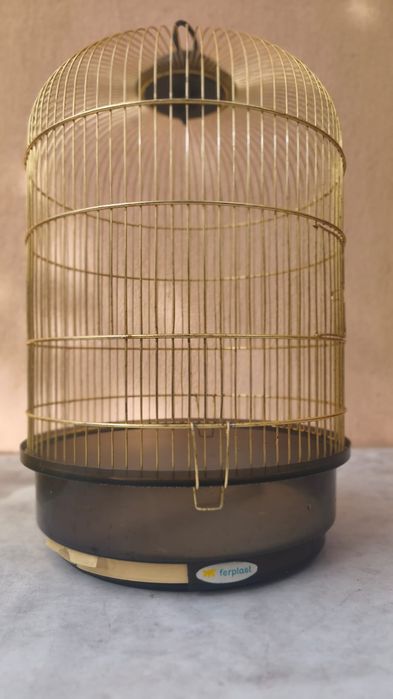 Colivie arata foarte bine