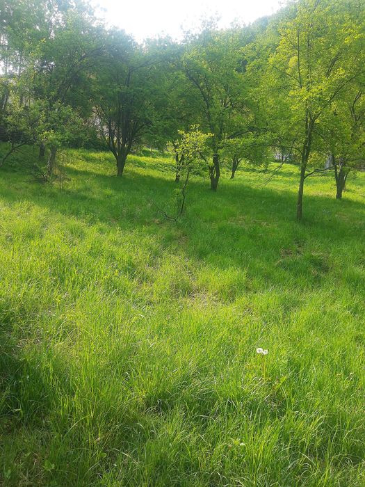 VAND TEREN in Valcea/Vladesti 2200 mp