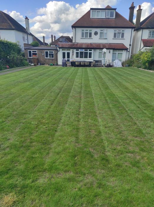 Почистване и подръжка на градини