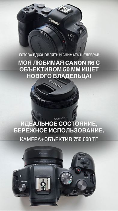 Камера Canon R6 и объектив 50 мм f/1.8