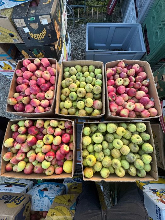 Vand Mere Pentru Consum ! Pot asigura si transport!