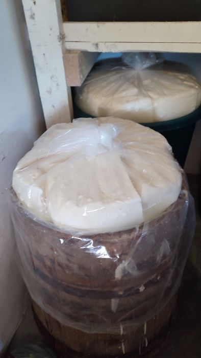 Vând brânză telemea de oaie