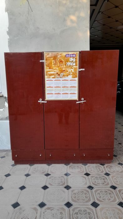 Шифанер российский