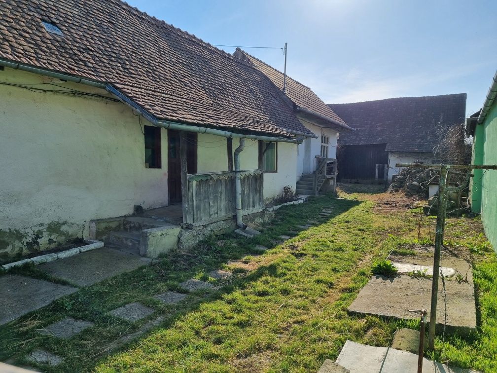 Vând teren 1300mp + casa în Albesti