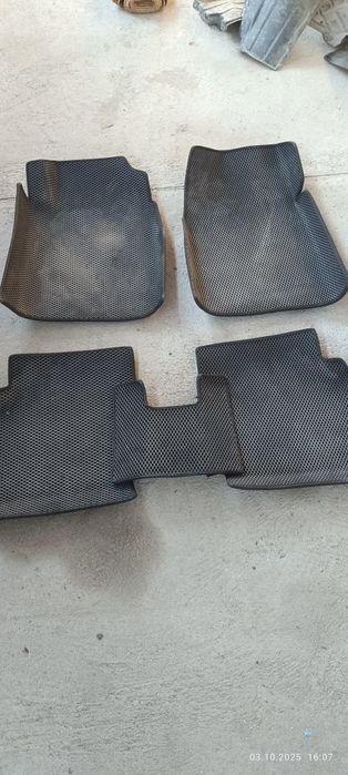 Эва Полики на Тойота виндом