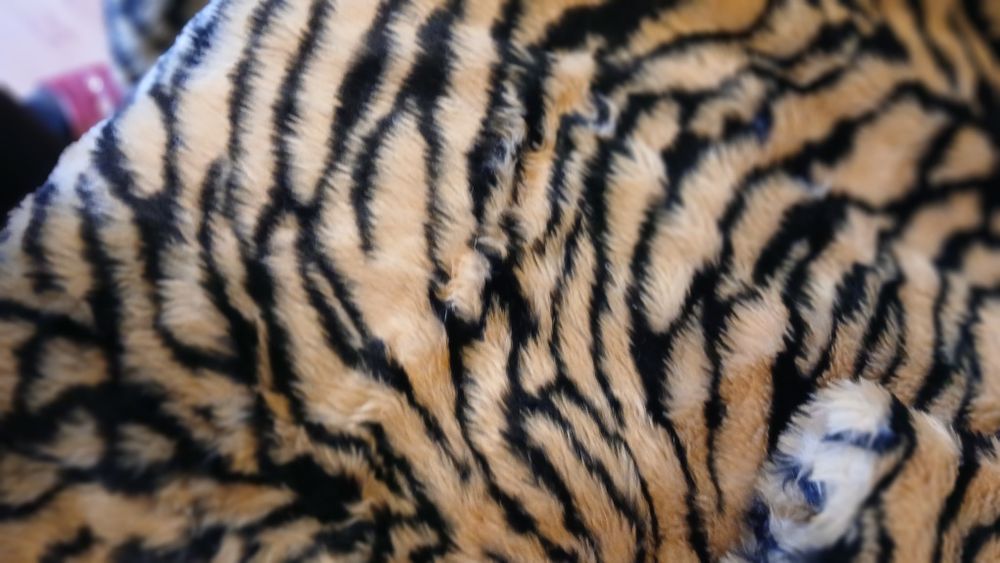 NOUA Blana Cu Gluga  Ieftina Dama