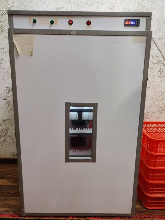 Inkubator
 500 talik komplekt full