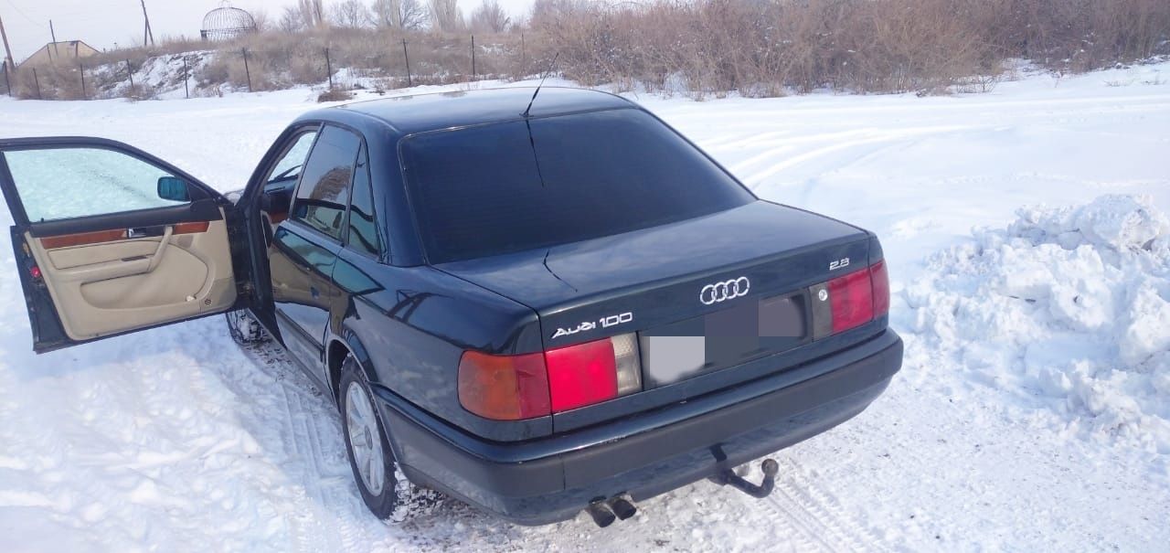 Audi 100        .
