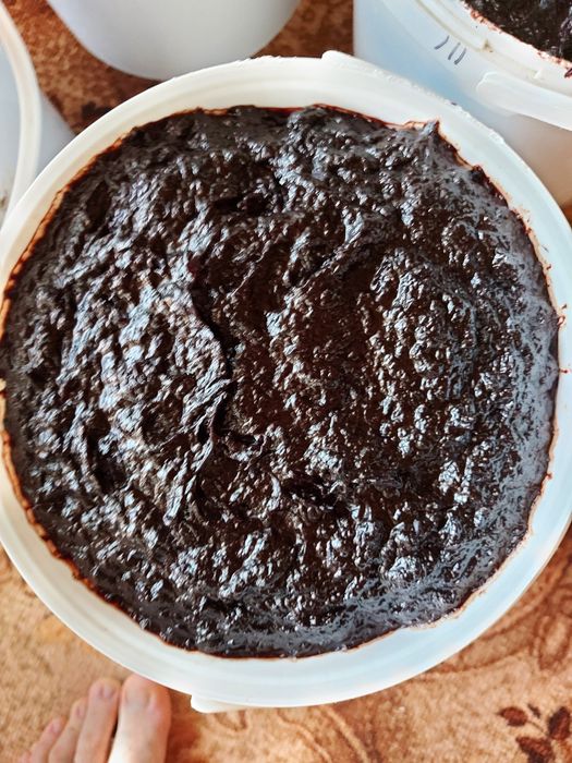 Magiun de prune (silvoita)