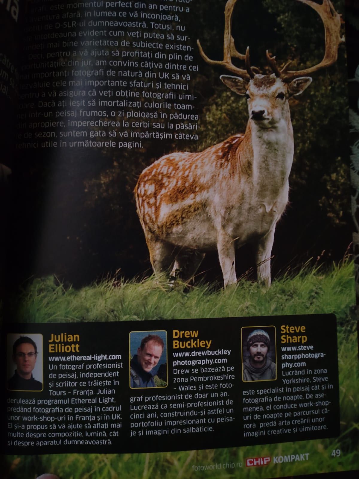 Ghiduri fotografie sport/wildlife