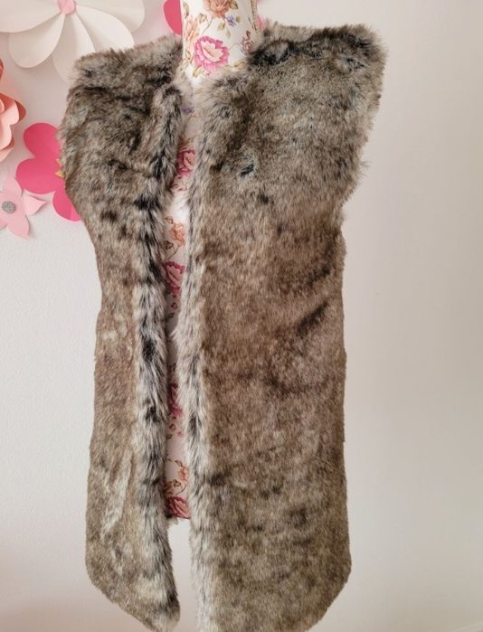 Vesta blanita, Zara S