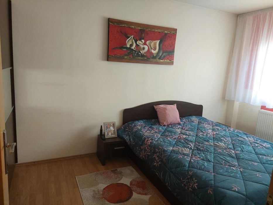 Vand apartament 3 camere Micalaca-Orizont