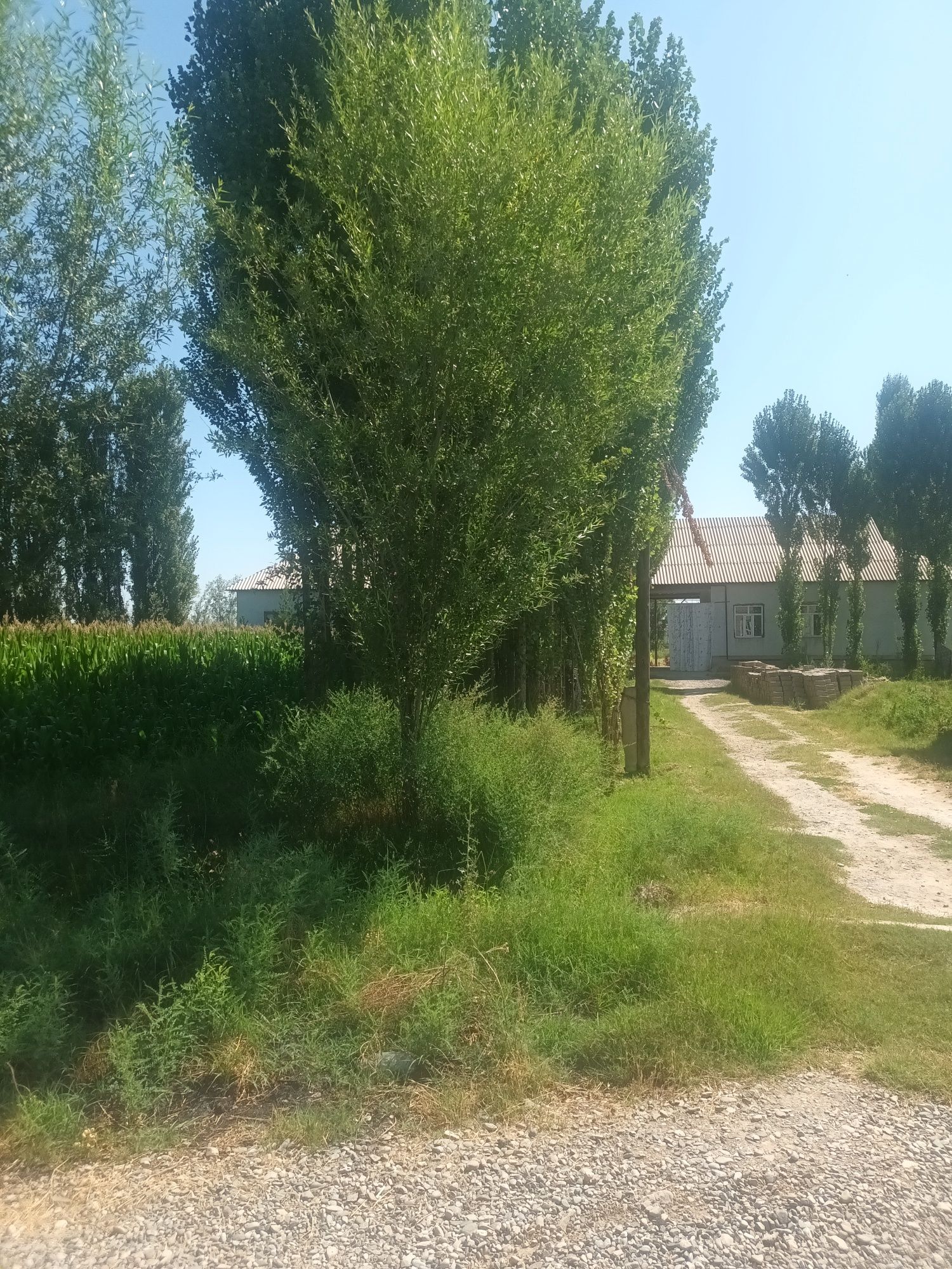 11 sotxli uchastka