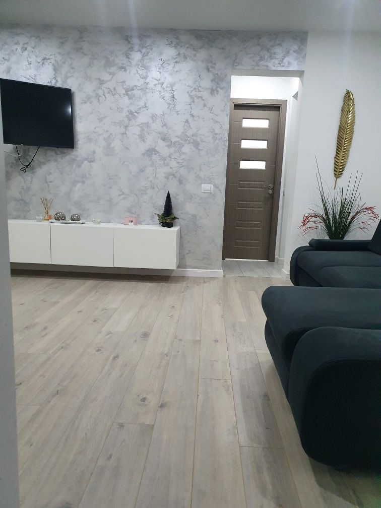 Apartament cu 2 camere Ultimul Leu(regim hotelier)