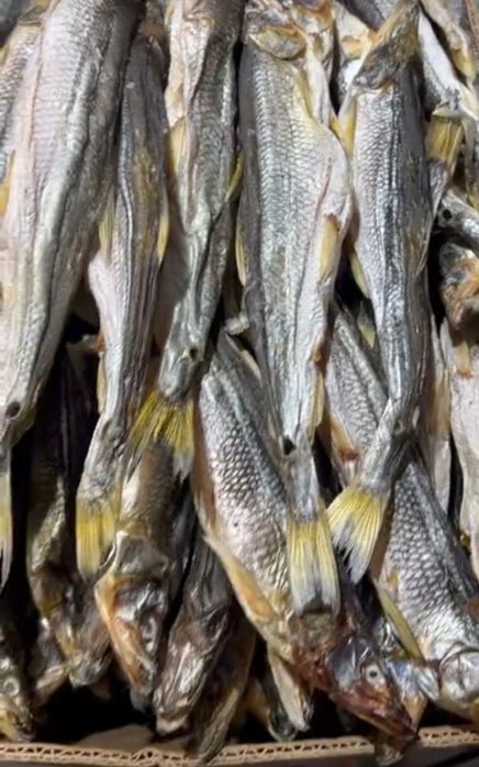 Корюшка вяленная 100% икряная