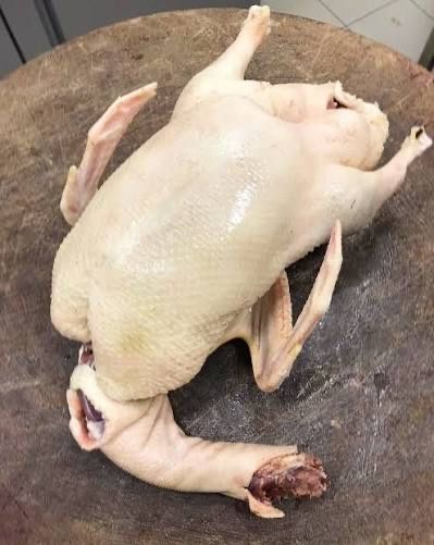 Продам домашних гусей