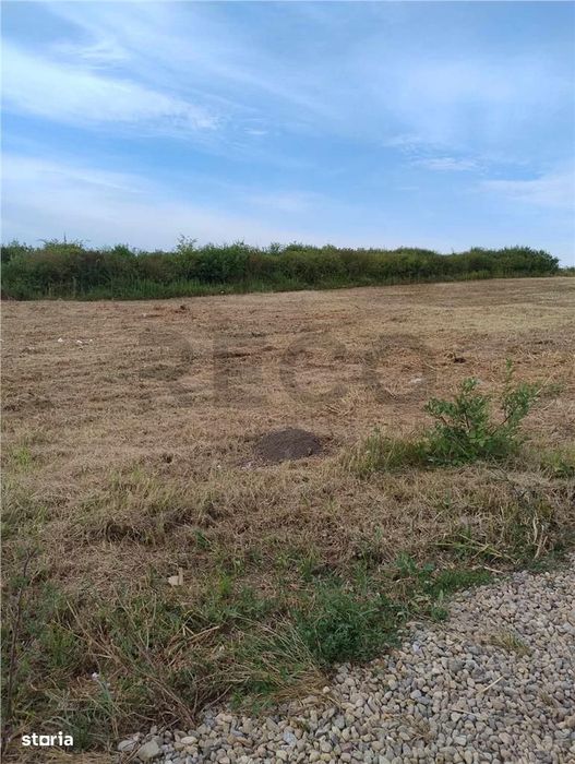 RECO Teren intravilan, Paleu