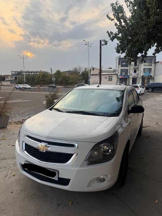 Cobalt midnight 2025