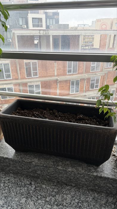 Саксия Нуша Макси XL