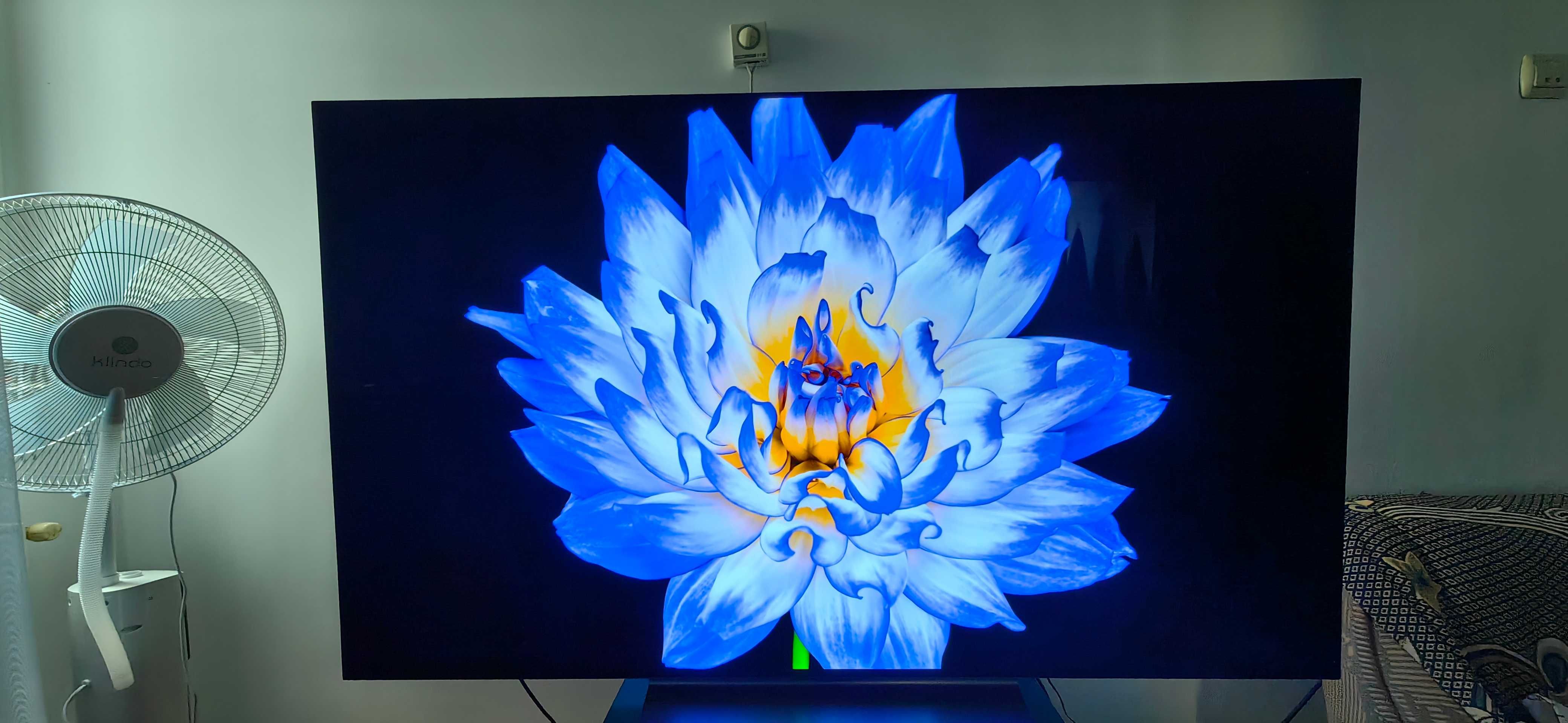 Televizor Lg  Oled c3 55 inch