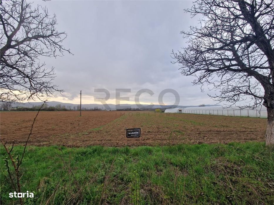 RECO teren intravilan Topa de Cris