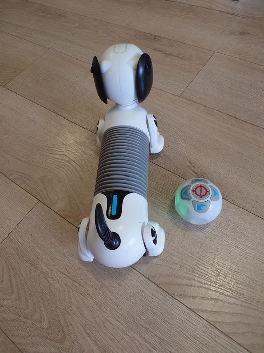 Голямо робо куче с топка