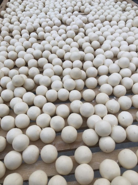 qurt maxsulotlari optom narxlarda