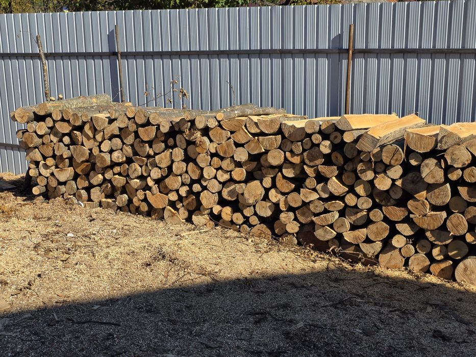 Lemn de fag la metru