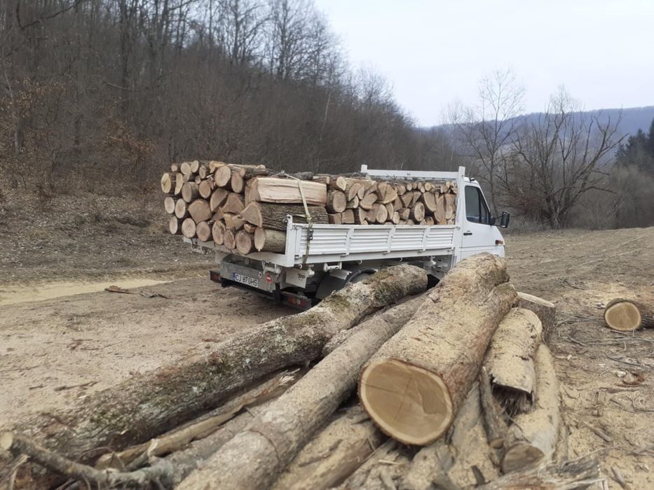 Lemne de foc la 320 lei metru esență tare