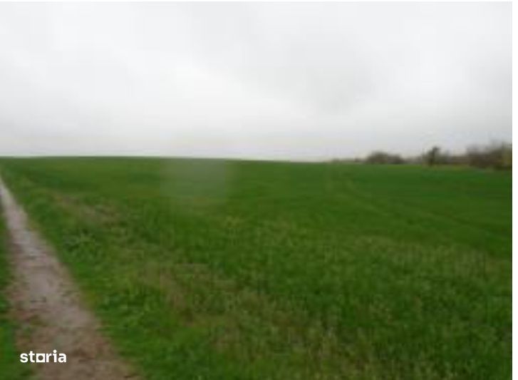 teren intravilan arabil, situat in Com. Valea Mare, jud. Olt