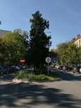Apartament cu 3 camere de inchiriat