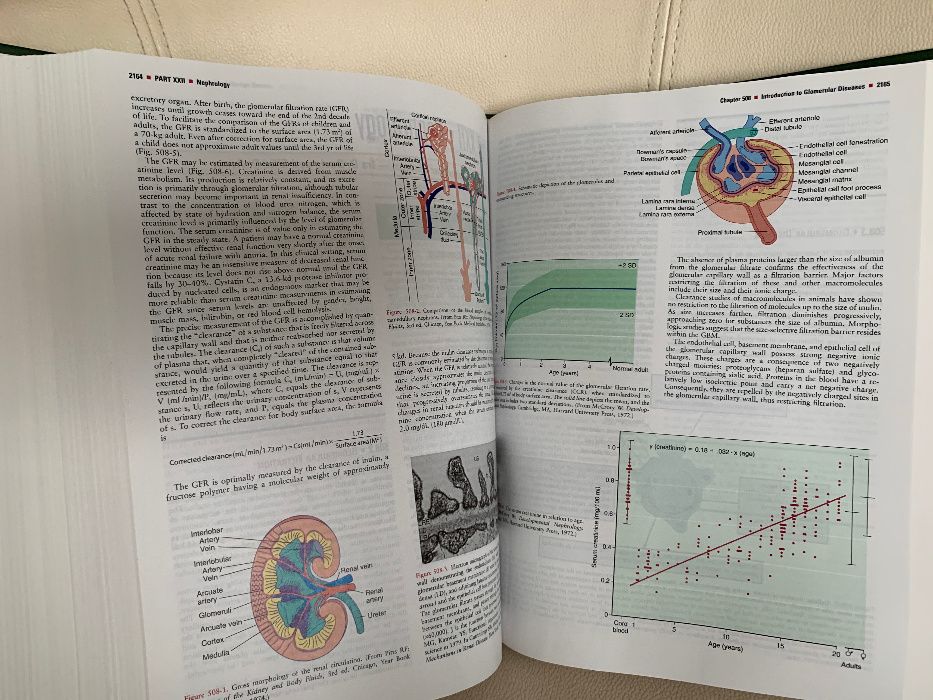 Kliegman - Nelson's Textbook of Pediatrics, ed 18, NOU, pediatrie