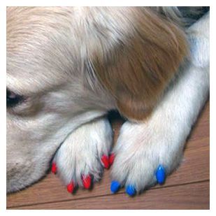 Протектори за кучешки нокти