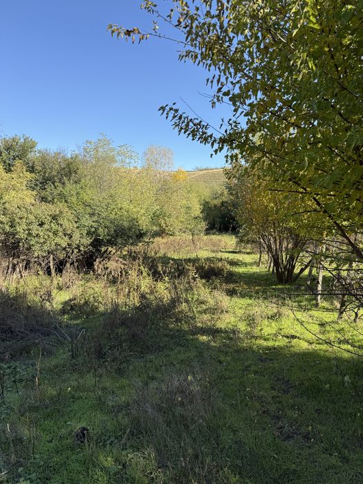 Casă bătrânească și teren în Blanzi/Corod